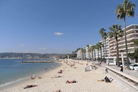 301-Studio Au Calme Entierement Renove Antibes Exterior photo